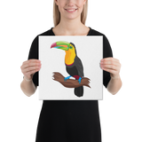 Yellow-throated Toucan Canvas