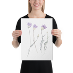 Purple Flowers Immortelle Watercolor Canvas