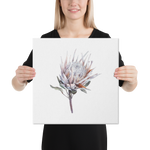 Protea Watercolor Canvas