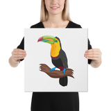 Yellow-throated Toucan Canvas