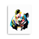 Big Panda Rainbow Canvas