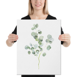 Eucalyptus Twig Watercolor Canvas
