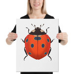 Bright Ladybug Canvas