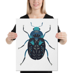 Flower Beetle Canvas