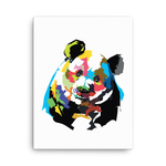 Big Panda Rainbow Canvas