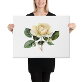 White Yellow Rose Watercolor Canvas