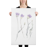 Purple Flowers Immortelle Watercolor Canvas