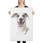 Smiling Whippet Canvas
