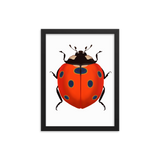 Bright Ladybug Framed Poster