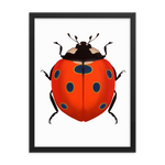 Bright Ladybug Framed Poster