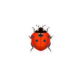 Bright Ladybug Kiss Cut Stickers