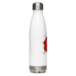 Bright Ladybug Stainless Steel Water Bottle