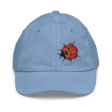 Bright Ladybug Embroidery Youth Baseball Cap
