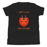 I Just Really Like Ladybugs Youth Premium T-Shirt