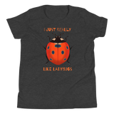 I Just Really Like Ladybugs Youth Premium T-Shirt