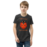 I Just Really Like Ladybugs Youth Premium T-Shirt